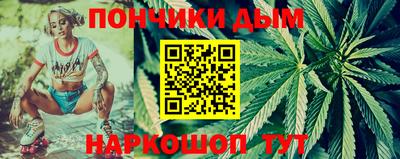 индика Нягань