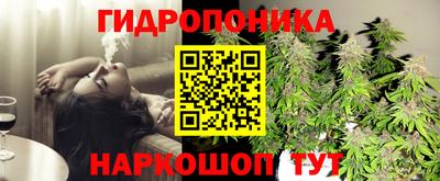 индика Нягань