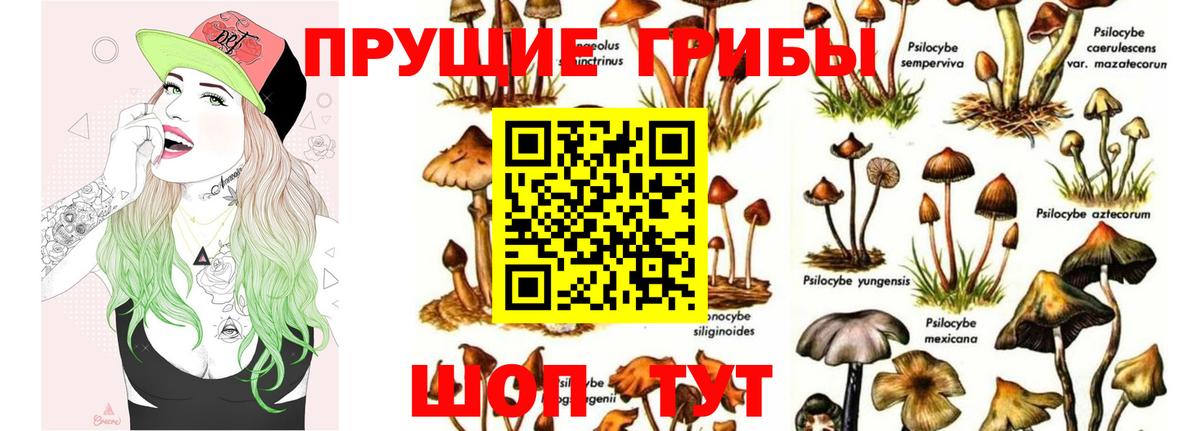 Улан-Удэ  Галлюциногенные грибы мухоморы  Вход с VPN 